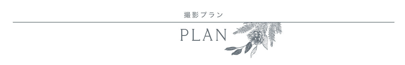 撮影プラン
