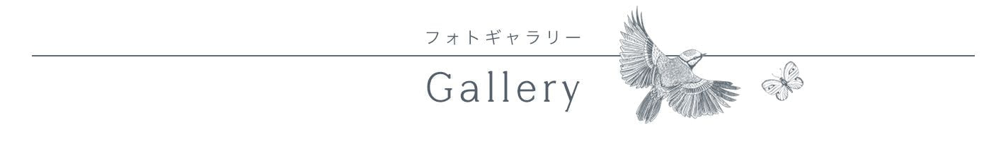 撮影プラン