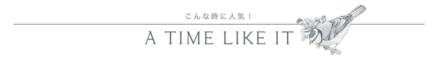 撮影プラン