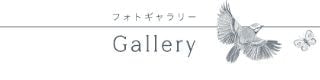 含まれるもの
